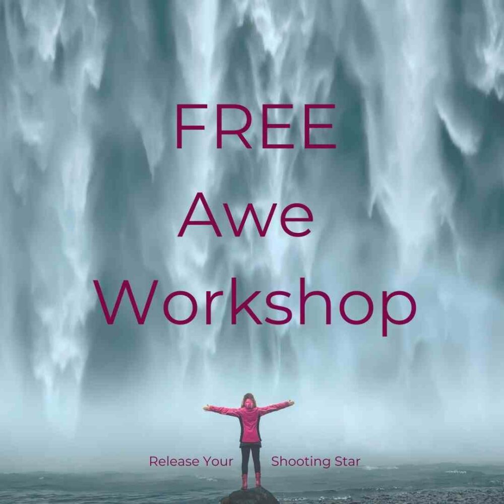 fee AWE workshop